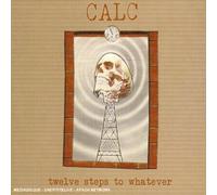Calc - Twelve Steps to Whatever