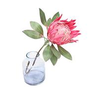 Calcifer 1 Pcs 55 cm The King Protea (Protea Cynaroides) Artificial Flowers Plants for Home Garden Wedding Party Decoration (Rose Red)