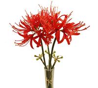 Calcifer 3 Stems Red Spider Lilies Artificial Flowers Lycoris Bulbs (Red)
