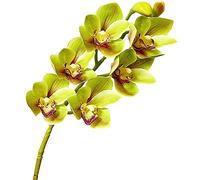 Calcifer Artificial Latex Cymbidium Orchid Bouquets Artificial Flowers for Hotel Home Party Wedding Decoration (Green, 2)