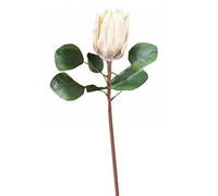 Calcifer The King Protea (Protea Cynaroides) Artificial Flowers Plants For Home Garden Wedding Party Decoration (Beige, 2)