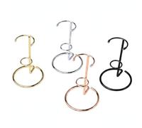Calcipxx Metal Display Stand for Slender Decorative Objects, Iron Open Frame Holder for Upright Presentation on Shelf or Desk, 33 x 8.5 x 4 cm (1 PC)