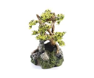 Caldex Limited CLASSIC Bonsai on Rocks Aquarium Ornament 120 x 115 x 200 mm Hand-Painted Non-Toxic Resin Decoration for Freshwater Tanks