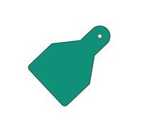 Caledonia Signs 55158 Plain Id Wide Flag Tags, 100 mm x 65 mm, Green, 100 mm x 65 mm (Pack of 20)