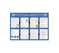 Caledonia Signs 58138 Pandemic Flu Poster, 594 mm x 420 mm