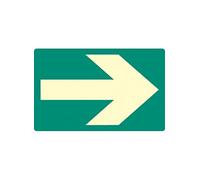 Caledonia Signs 58665 Way Finding Floor marker, 175 mm x 110 mm, Photo luminescent