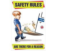 Caledonia Signs 59822 Safety Rules are There for a Reason Poster, Synthetic Paper, 510 mm x 760 mm
