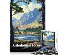 Caledonian Forest Scotland Landscape Art 1000 Pieces Jigsaw Puzzles for Adults Logic Ability Easy Relaxation Secure Join Lovely Gift (38x52cm)