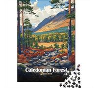 Caledonian Forest Scotland Landscape Art Jigsaw Puzzle 1000 Pieces, Lakeside Architecture Scene, Thick Cardboard Pieces for Puzzle Lovers, Relaxing Challenge, 52x38cm/1000pcs