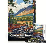 Caledonian Forest Scotland Landscape Art Jigsaw Puzzles 1000 Pieces Clear Thinking Calm Downtime Precise Edges Chic Xmas Gift (38x52cm)