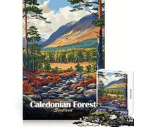 Caledonian Forest Scotland Landscape Art Jigsaw Puzzles 1000 Pieces for Adults Brain Memory Calm Leisure Tight Lock (38x26cm)