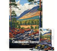 Caledonian Forest Scotland Landscape Art Teenagers Puzzles 1000 Piece Jigsaws Mind Exercise Light Enjoyment Exact Cut Thoughtful Gift (50x75cm)
