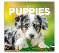 Calendar 2025-2026 Playful Puppies Wall Planner, Lovable Dog Organizer, 16-Month Hanging Schedule Sep 2025-Dec 2026, 12x12 in