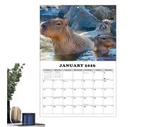 Calendar 2026-2027 - Capybara 2026 Calendar | Slimline Wall Calendars | 13 Months Wall Calendars January 2026 with Julian Dates | for Home School Offices Classroom Meeting