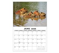 Calendar 2026-2027, Capybara-Themed Personal Time Management, 13 Months Wall Calendar January 2026 with Julian Dates, for Planning Appointments Schedule