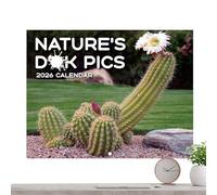 Calendar 2026 - Funny Wall Calendar | Creative Humorous Planner for Time Management Reference Home School Organisation