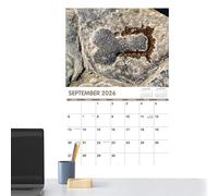 Calendar 2026 | Funny Wall Calendar | Creative Humorous Planner for Time Management Reference Home & School Organisation