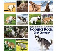 Calendar 2027 12 42 x 21 cm Monthly Decoration Funny Dog Doing Needs | Desk Calendar Jan-Dec 2027 For Academic Diary Timetable Home Office Classroom University Party Holiday