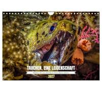 Calendar 2027 · DIVING, A PASSION | A Year Full of Underwater Worlds · DIN A4 Landscape · CALVENDO Wall Calendar