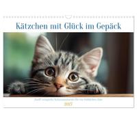 Calendar 2027 · Kittens Bringing Good Luck | Soft light, natural colors, and varied typography accompany the little… · DIN A3 Landscape · CALVENDO Wall Calendar