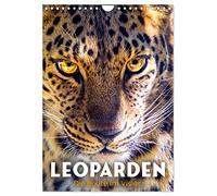Calendar 2027 · Leopards - Prey in Their Sights | Extraordinary big cats · DIN A4 Portrait · CALVENDO Wall Calendar
