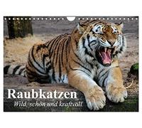 Calendar 2027 · Predatory cats. Wild, beautiful and powerful | The most beautiful cats of prey in great pictures · DIN A4 Landscape · CALVENDO Wall Calendar