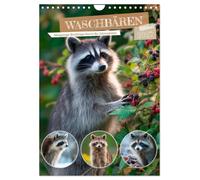Calendar 2027 · Raccoons-Curious Adventures Through the Seasons | Wild Animals Up Close in Their Natural Habitat · DIN A4 Portrait · CALVENDO Wall Calendar