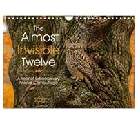 Calendar 2027 · The Almost Invisible Twelve | A Year of Extraordinary Animal Camouflage · DIN A4 Landscape · CALVENDO Wall Calendar