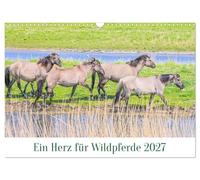 Calendar 2027 · US Version · A heart for wild horses | Enchanting wild horses and their foals · 17" × 12" Landscape · CALVENDO Wall Calendar