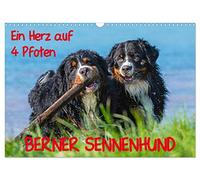 Calendar 2027 · US Version · A heart on 4 paws - Bernese Mountain Dog | With Bernese Mountain Dogs through the year · 17" × 12" Landscape · CALVENDO Wall Calendar