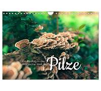 Calendar 2027 · US Version · A trip into the magical world of mushrooms | Neither vegetable nor animal · 12" × 8" Landscape · CALVENDO Wall Calendar