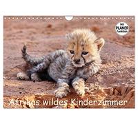Calendar 2027 · US Version · Africa wild nursery | Encounters with the wild offspring · 12" × 8" Landscape · CALVENDO Wall Calendar