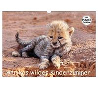 Calendar 2027 · US Version · Africa wild nursery | Encounters with the wild offspring · 17" × 12" Landscape · CALVENDO Wall Calendar