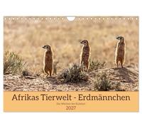 Calendar 2027 · US Version · Africa's animal world - Meerkats | Very close to the super-sympathetic meerkats that live in the African Kalahari · 12" × 8" Landscape · CALVENDO Wall Calendar