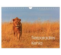 Calendar 2027 · US Version · Animal Paradise Kenya | Kenya is home to a great diversity of animals · 12" × 8" Landscape · CALVENDO Wall Calendar