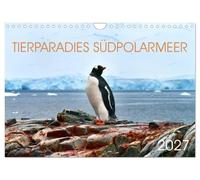 Calendar 2027 · US Version · Animal Paradise: The Southern Ocean | Enjoy these photos of Antarctica's unique wildlife · 12" × 8" Landscape · CALVENDO Wall Calendar
