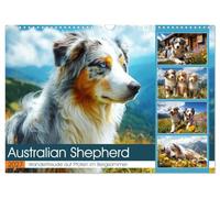 Calendar 2027 · US Version · Australian Shepherd. Hiking pleasure on paws | in the mountain summer · Fluffy dogs enjoy dom in the beautiful mountains · 17" × 12" Landscape · CALVENDO Wall Calendar