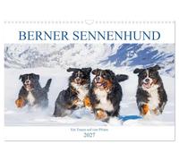 Calendar 2027 · US Version · Bernese Mountain Dog - A dream on four paws | He is fantastically beautiful, if not the most beautiful dog breed ever · 17" × 12" Landscape · CALVENDO Wall Calendar