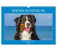 Calendar 2027 · US Version · Bernese Mountain Dog - A friend on four paws | He is fantastically beautiful, if not the most beautiful dog breed ever · 17" × 12" Landscape · CALVENDO Wall Calendar