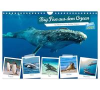 Calendar 2027 · US Version · Big Five from the ocean shark, dolphin, whale | seal, penguin · Discover the majestic beauty of the oceans · 12" × 8" Landscape · CALVENDO Wall Calendar