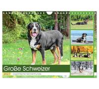 Calendar 2027 · US Version · Big Swiss - Gigantic Mountain Dogs | The giants among the mountain dogs · 12" × 8" Landscape · CALVENDO Wall Calendar