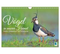 Calendar 2027 · US Version · Birds in our homeland: lapwing, hoopoe and | turtle dove · Close ups make the heart of every bird lover beat faster · 12" × 8" Landscape · CALVENDO Wall Calendar