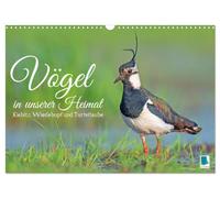 Calendar 2027 · US Version · Birds in our homeland: lapwing, hoopoe and | turtle dove · Close ups make the heart of every bird lover beat faster · 17" × 12" Landscape · CALVENDO Wall Calendar