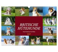 Calendar 2027 · US Version · British Sheepdogs - Faithful friends on four | paws · The animal photographer presents the herding dogs of Great Britain in… · 17" × 12" Landscape · CALVENDO Wall Calendar