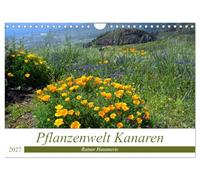 Calendar 2027 · US Version · Canary Islands flora | Dreamlike pictures of unique plants of the Canary Islands · 12" × 8" Landscape · CALVENDO Wall Calendar