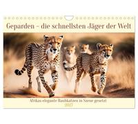 Calendar 2027 · US Version · Cheetahs - the fastest hunters in the world | Africa's elegant big cats staged · 12" × 8" Landscape · CALVENDO Wall Calendar
