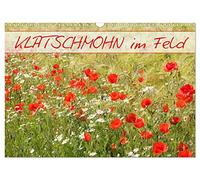 Calendar 2027 · US Version · Corn poppy in field | A summer calendar for the whole year · 17" × 12" Landscape · CALVENDO Wall Calendar