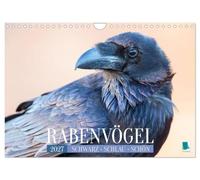 Calendar 2027 · US Version · Corvids: Black, clever, beautiful | Raven, crow, magpie: much smarter than their reputation · 12" × 8" Landscape · CALVENDO Wall Calendar