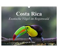 Calendar 2027 · US Version · Costa Rica - Exotic birds in the rainforest | Impressions from the bird world in Costa Rica · 17" × 12" Landscape · CALVENDO Wall Calendar