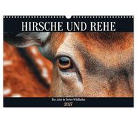 Calendar 2027 · US Version · DEER AND ROE - A year in the wild | Deer and stags in their natural environment · An atmospheric animal calendar… · 17" × 12" Landscape · CALVENDO Wall Calendar